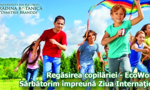 1 69611 original jpg jpeg