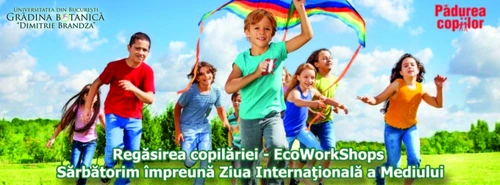 1 69611 original jpg jpeg