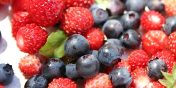 alimente care intarzie imbatranirea