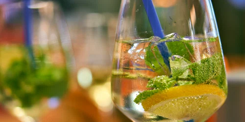 alcool distelapparath pixabay jpg