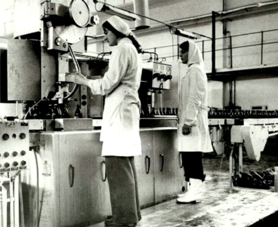 Fabrica de bere Haţegana, la înfiinţare. Foto: Virgil Onoiu