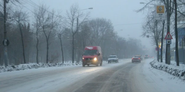 Plopii de pe marginea şoselelor sub ameninţarea parlamentarilor PDL