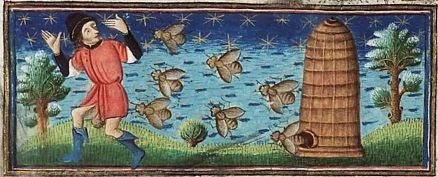 Persoană atacată de albine. Miniatură medievală (© National Museum of Antiquities, CC BY-SA)