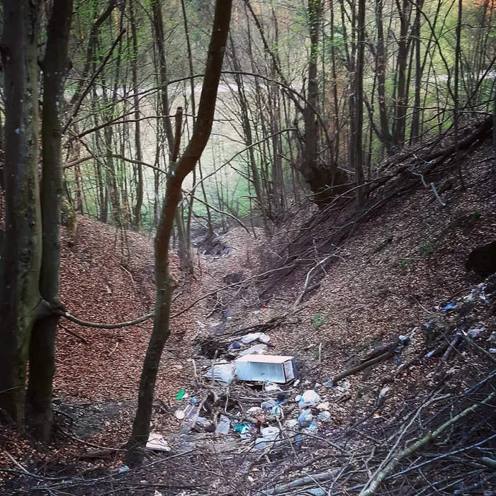 Râpă cu gunoaie, la marginea unui sat din Hunedoara. Foto: Daniel Guță. ADEVĂRUL