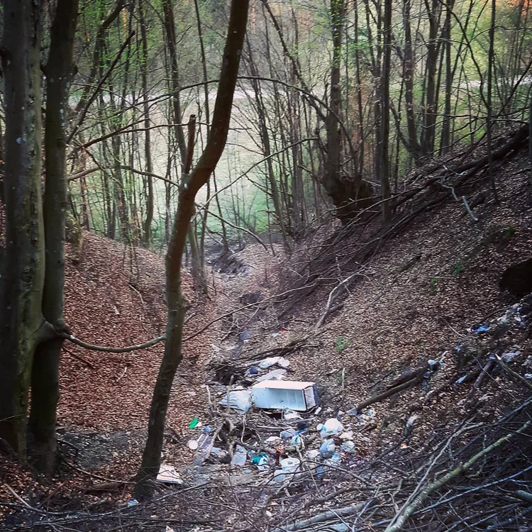 Râpă cu gunoaie, la marginea unui sat din Hunedoara. Foto: Daniel Guță. ADEVĂRUL