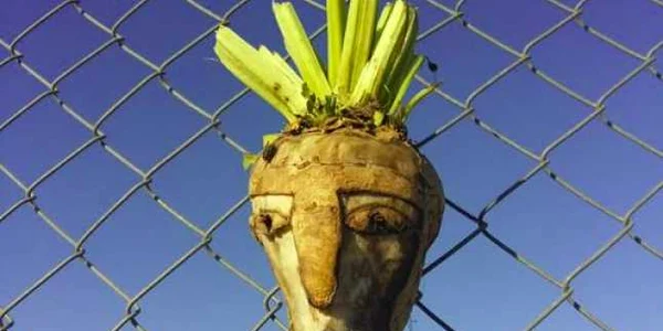 Figura sculptata in sfecla montata pe gardul de sarma de la granita dintre Ungaria si Serbia FOTO Twitter Andrew Stroehlein