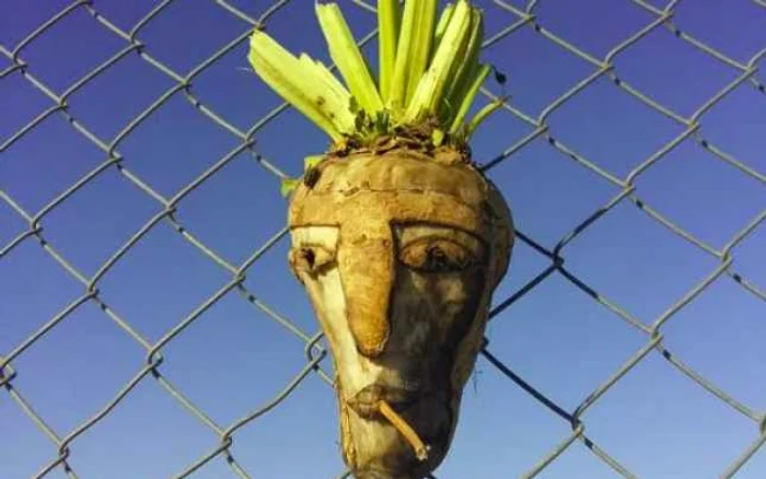 Figură sculptată în sfeclă montată pe gardul de sârmă de la graniţa dintre Ungaria şi Serbia FOTO Twitter/ Andrew Stroehlein