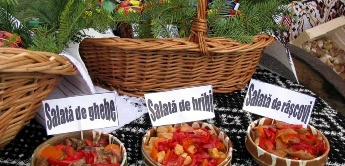 Salatele din ciuperci sunt foarte apreciate în Bucovina. Foto: Sandrinio Neagu