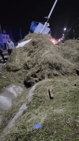 Doi tineri aflați într-o căruță au fost răniți după ce atelajul a fost izbit de un tractor, pe DN73
