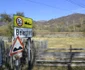 Pentru defrişările şi jaful din pădurile de pe Valea Muntelui nu există vinovaţi FOTO Mircea Merticariu