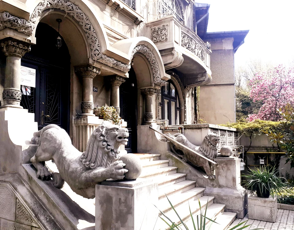 Casa cu lei - Cotroceni