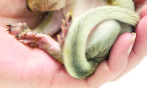 CLIIMA20120308 0115 1 jpeg