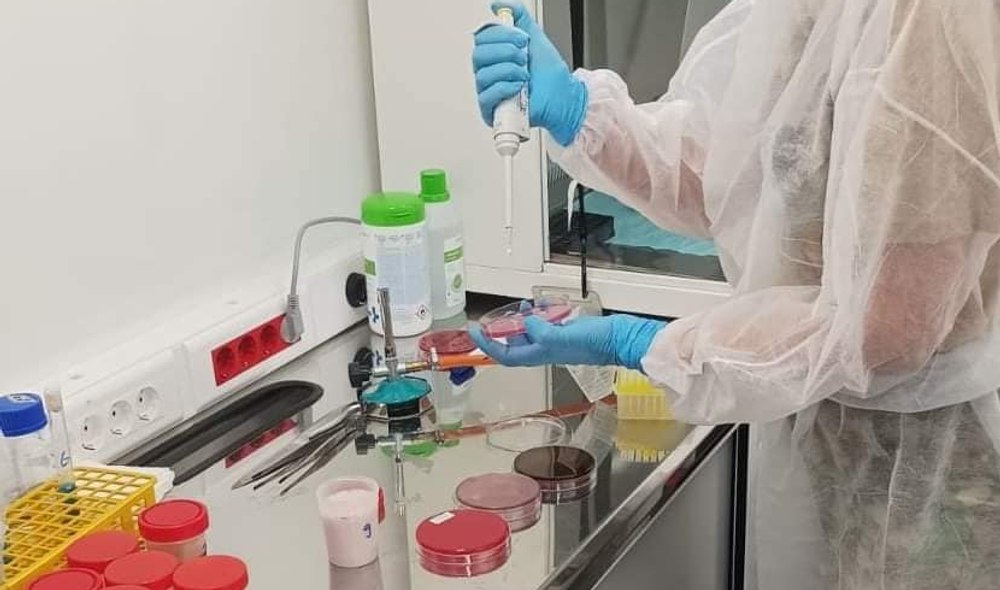 Hală pentru producţia de vaccinuri, la Staţia Băneasa a Institutului de Cercetare „Cantacuzino”. PUZ-ul, supus dezbaterii