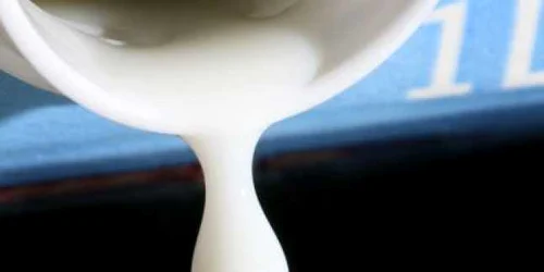 Bani în plus de la UE pentru producătorii de lapte