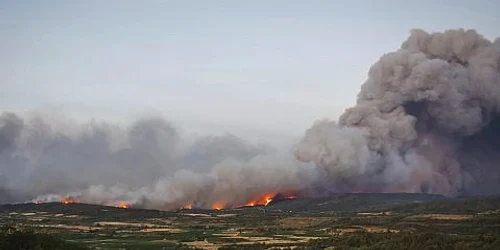 Incendiu de vegetatie Franta august 2025 FOTO X