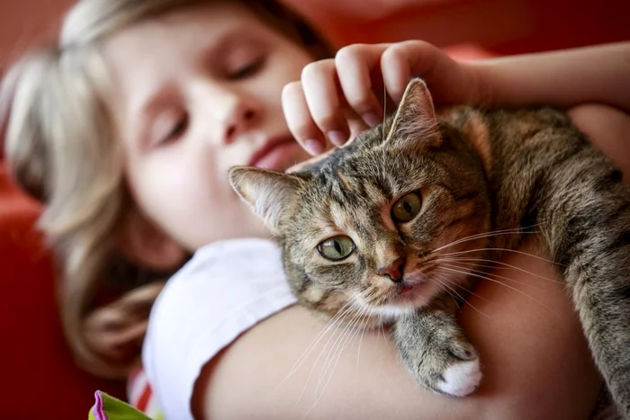 Efectele negative provocate de Toxoplasma gondii sunt resimţite mai puternic de persoanele care au carenţă de vitamina E.  FOTO: Shutterstock