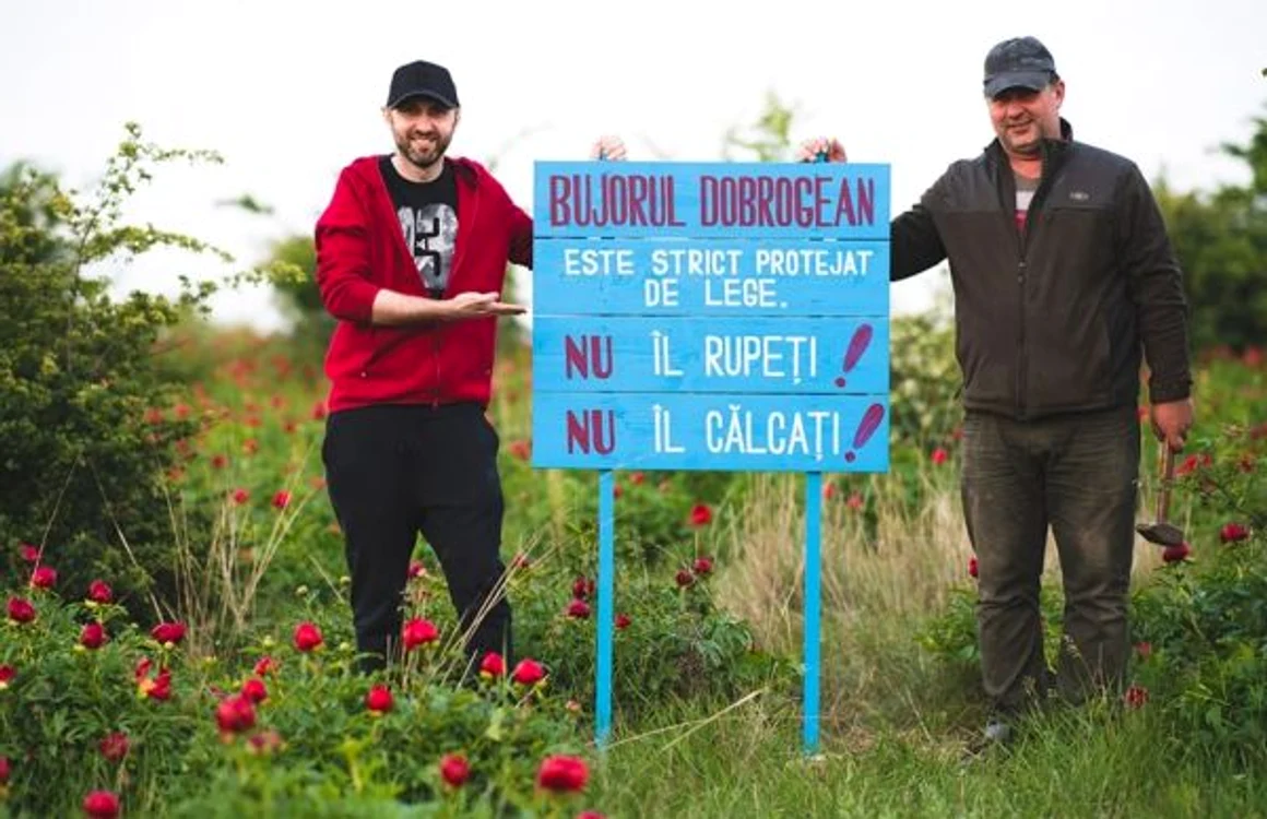 Panou de avertizare pus de ecologisti FOTO Marian Sterea