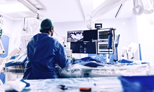 1 shutterstock 1021273579 jpg jpeg