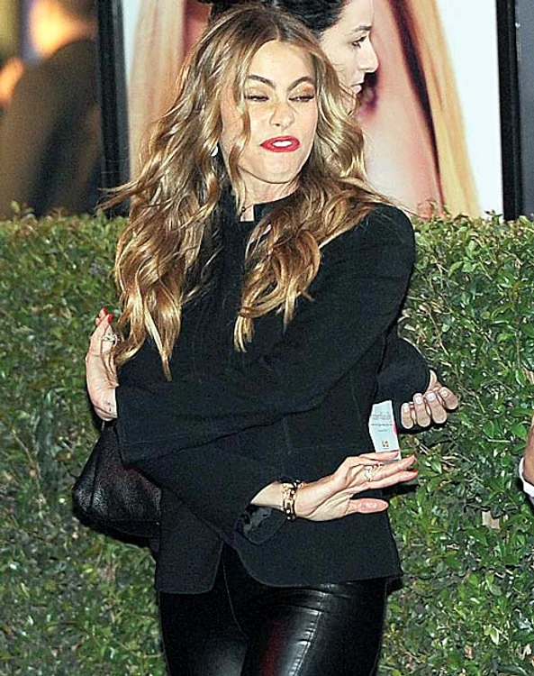 Sofia Vergara  (42 de ani) înjură  ca un birjar