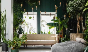 The Benefits of Biophilic Home Design  jpg