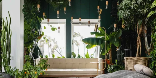 The Benefits of Biophilic Home Design jpg