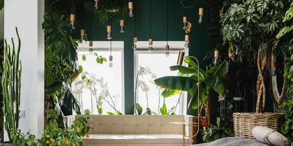 The Benefits of Biophilic Home Design  jpg