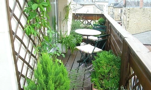 1 68125 original jpg jpeg