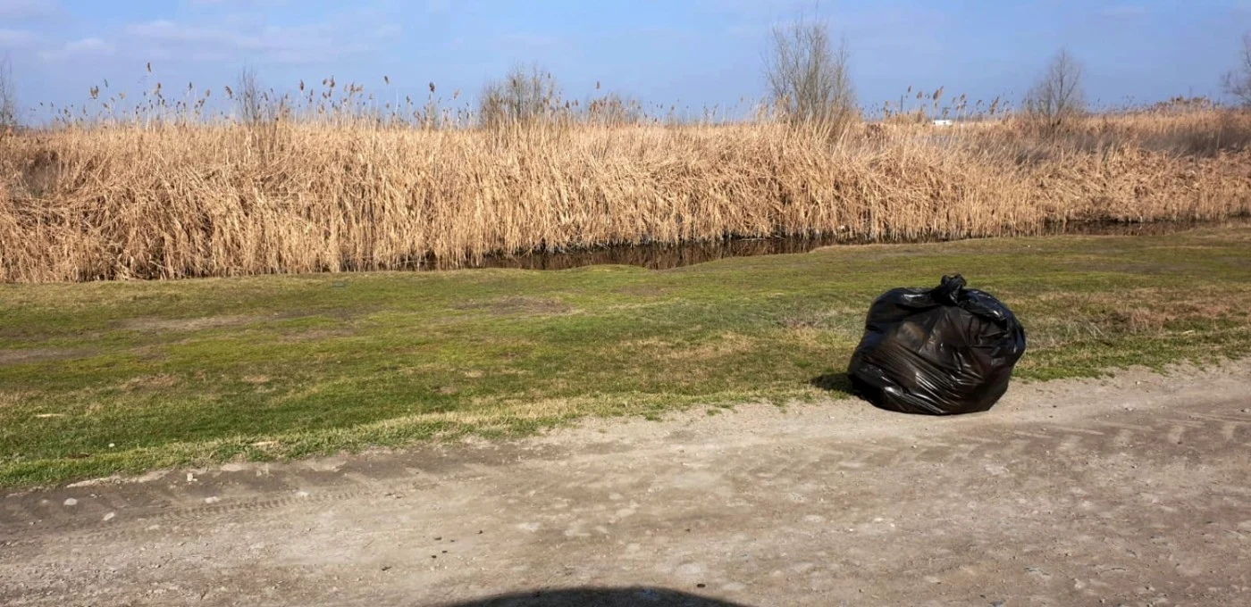 Ecologizarea zonei lacului FOTO Primăria Tulcea