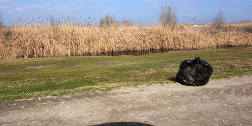 Ecologizare Zaghen