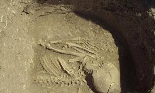 Primii fermieri europeni au venit din Anatolia jpeg