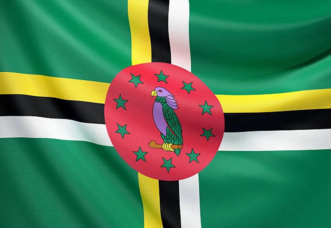 Dominica este singura țară cu un papagal pe steag / foto: IStock