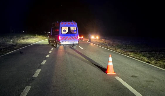 Una dintre victime n-a avut nicio șansă. FOTO IPJ Dolj