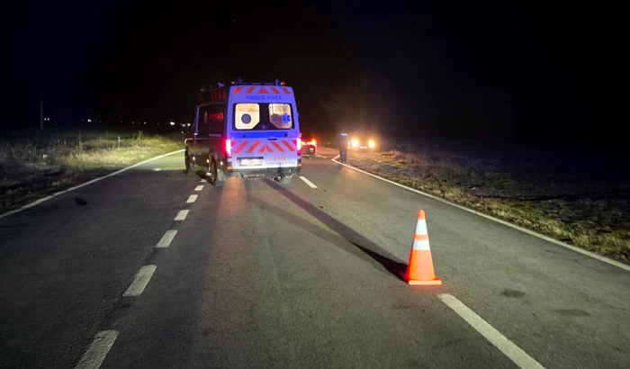 Una dintre victime n-a avut nicio șansă. FOTO IPJ Dolj