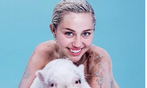 miley jpeg