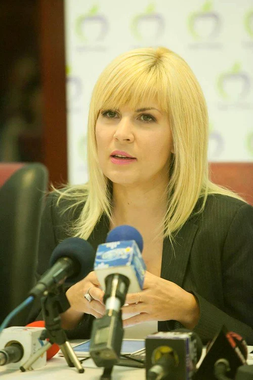 Elena Udrea, aflată în arest, publică mesaje pe Facebook prin intermediul echipei ei de comunicareFoto: arhivă personală