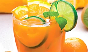 1365086411 2885freshlime jpeg