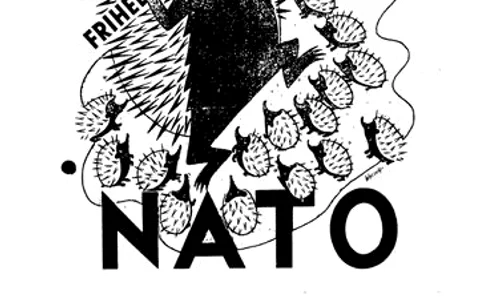 Steaua NATO  Ariciul NATO jpeg