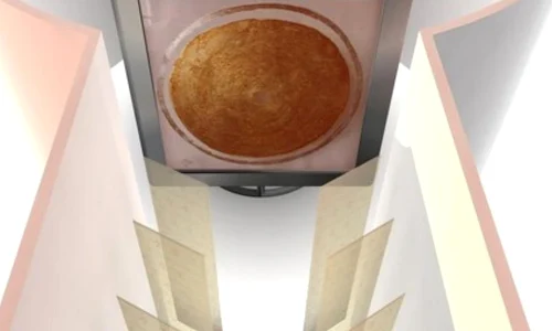 Rădăcini Arhetipale jpeg