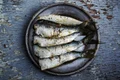 sardine jpeg