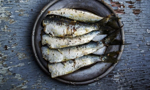 sardine jpeg