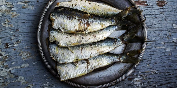 sardine jpeg