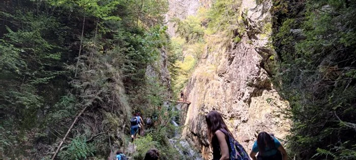 
    Ursul a ieșit în calea turișilor, pe TransfăgărășanFotografii: Trasee pe munte  