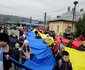 Tricolor călător, în Dâmbovița Foto: Victor Mihalache jpg