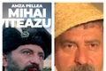 Mihai Viteazu Amza Pellea jpg