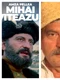 Mihai Viteazu Amza Pellea jpg