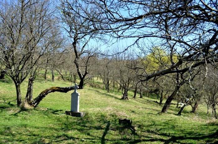 Morţii de la Ceru Băcăinţi sunt îngropaţi în grădini şi livezi. Foto: Ribanna Tocan