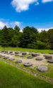 Sarmizegetusa Regia Foto Administrația Sarmizegetusa Regia 1 jpg