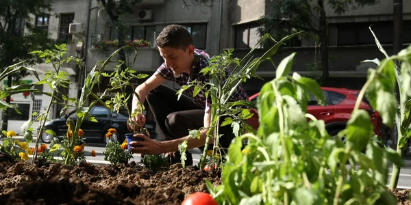 gradina pe bulevard