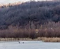Delta dintre dealuri din Pucioasa. FOTO Mădălin Anca