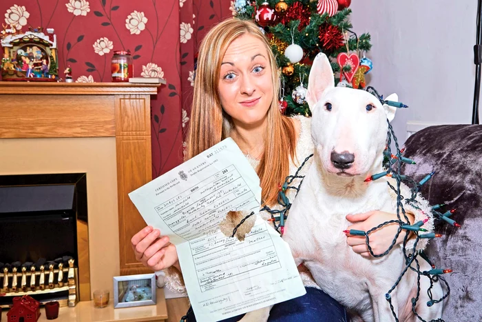 
     A făcut praf bradul  cu tot cu decoraţiuniForografii: Photoland, Caters  